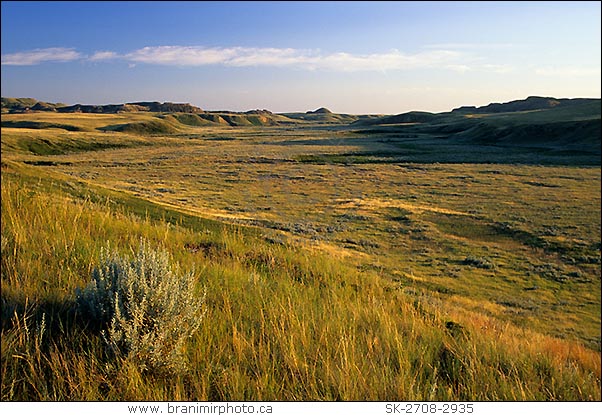 Grasslands National Park, Saskatchewan