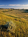 Grasslands National Park at sunset