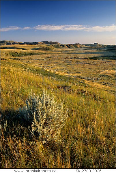 Grasslands National Park, Saskatchewan