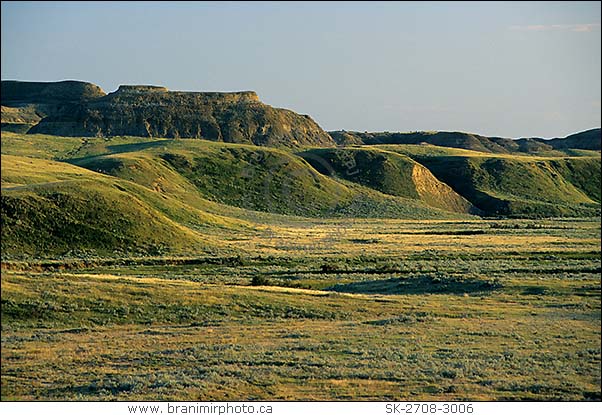 Grasslands In Canada