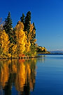 Autumn trees reflecting in lake, Smoothstone Lake, Saskatchewan