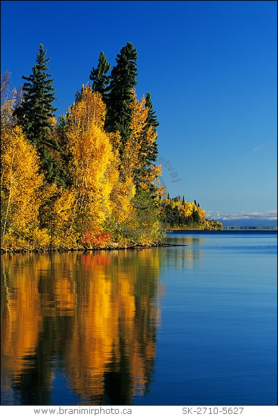 Autumn trees reflecting in lake, Smootstone Lake