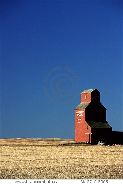 grain elevator near Rosetown