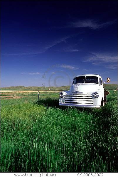 rabandoned truck in a field