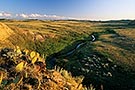 Grasslands National Park at sunrise