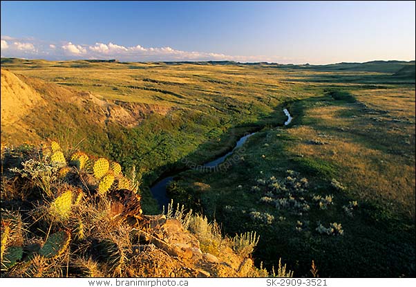 Grasslands National Park, Saskatchewan