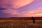 Grasslands National Park at sunrise