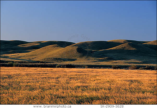 Grasslands National Park at sunrise