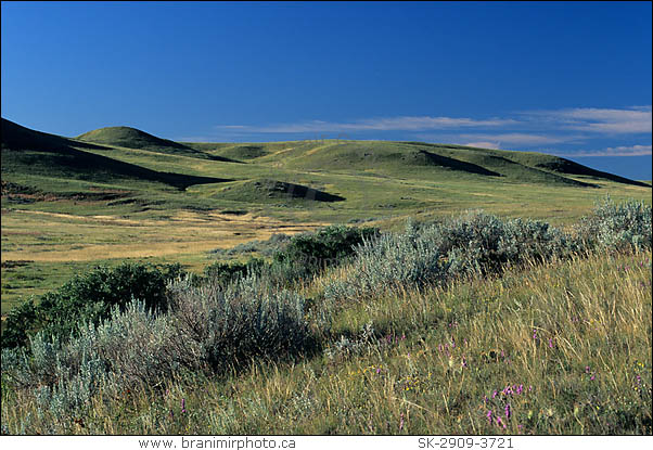 Grasslands National Park, Saskatchewan