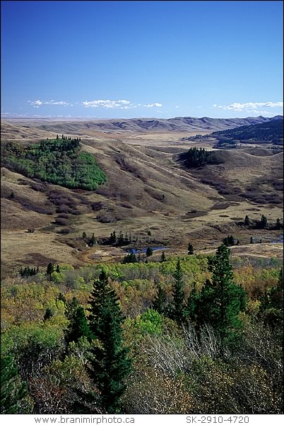 Cypres Hills Interprovincial Park, Saskatchewan