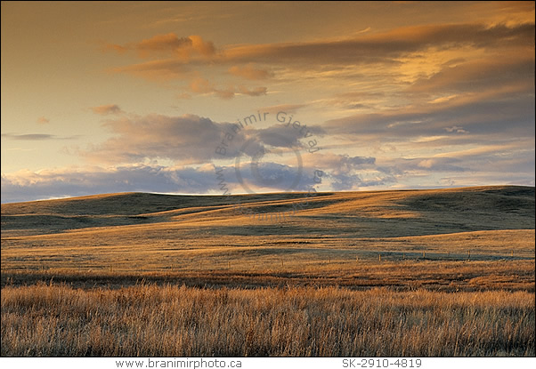 Prairie with rolling hills at sunset, Great Sand Hills, Saskatchewan