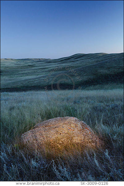 Granite boulder in prairie at Fairview PFRA community pasture