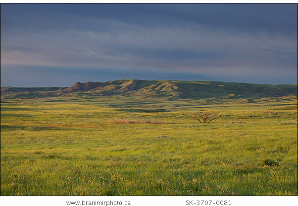 Grasslands National Park, Saskatchewan