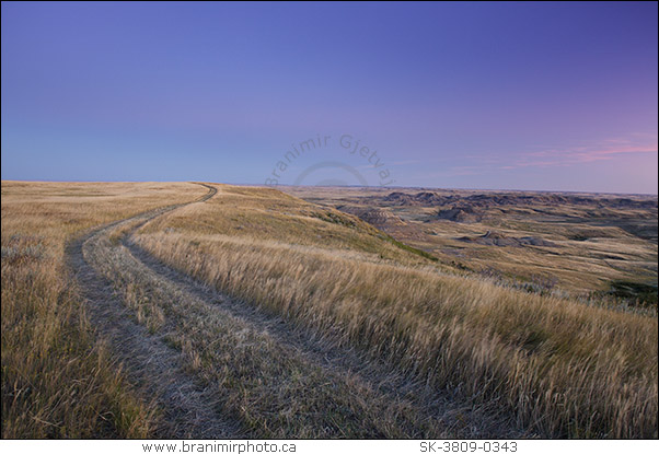 Winding trail through prairie, Grasslands National Park