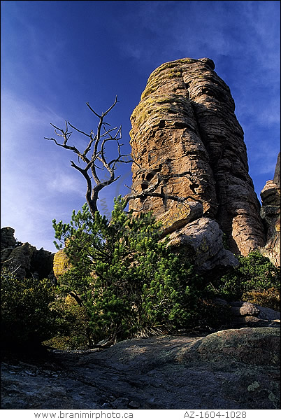 Rock formation, Chiricahua Natl. Monument