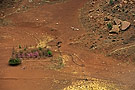 farmstead with goats, Canyon de Chelly, Arizona