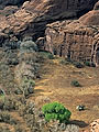 view of canyon walls,  Canyon de Chelly, Arizona