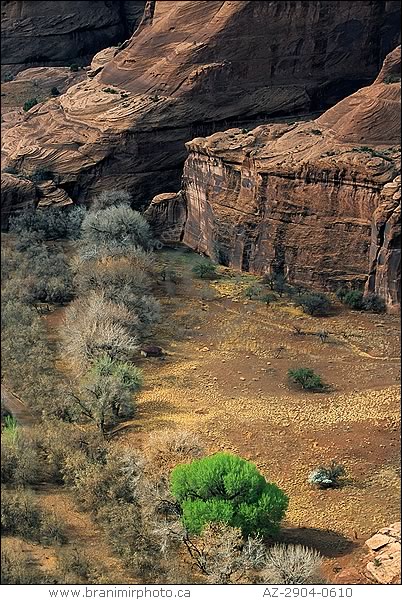 view of  Canyon de Chelly, Arizona