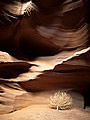 tumbleweed, Antelope Canyon interior, Arizona