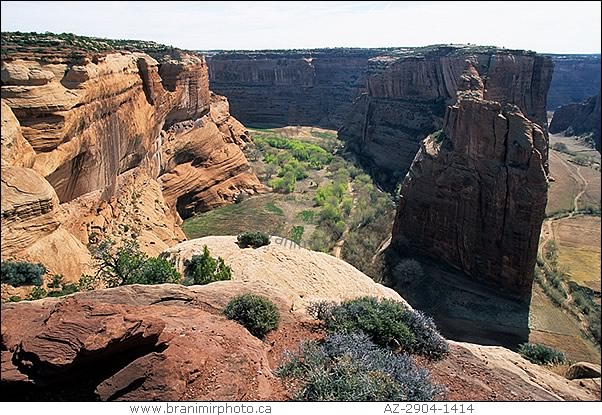 overview of Canyon del Muerto, Canyon de Chelly, Arizona