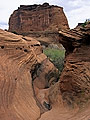 rock cliff detail,  Canyon de Chelly, Arizona