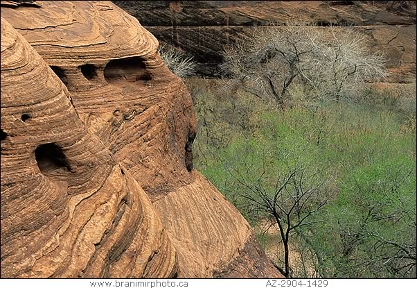 close-up of canyon walls, Canyon de Chelly, Arizona