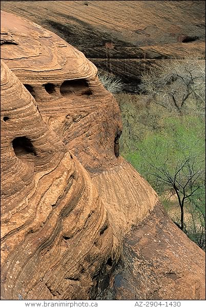 close-up of canyon walls, Canyon de Chelly, Arizona