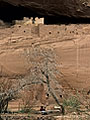 vendor at White House ruins, Canyon de Chelly, Arizona