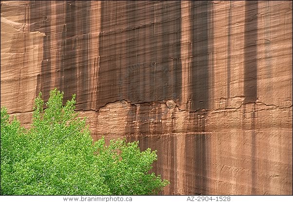 Rock face, Canyon de Chelly, Arizona