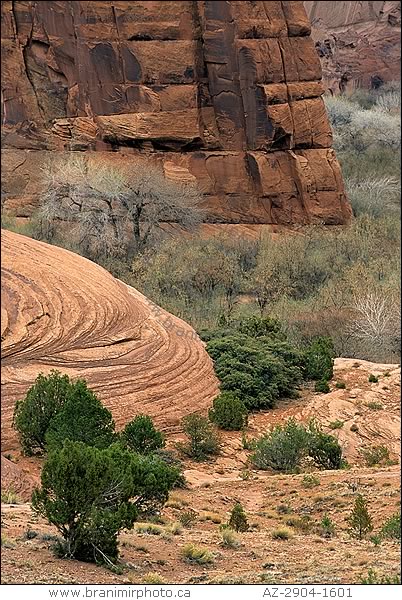 view of  Canyon de Chelly, Arizona