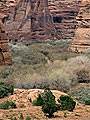 view of  Canyon de Chelly, Arizona