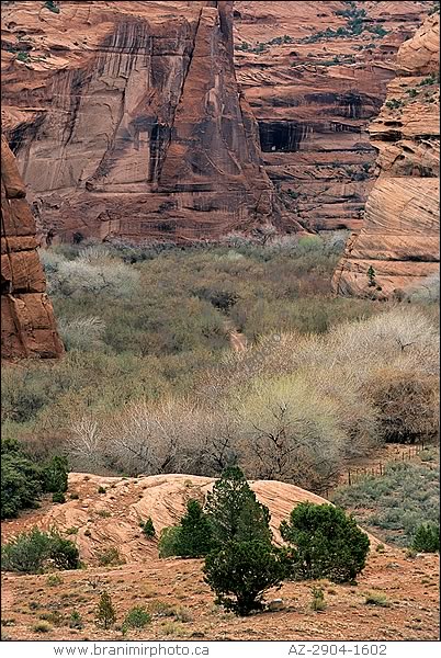 view of  Canyon de Chelly, Arizona