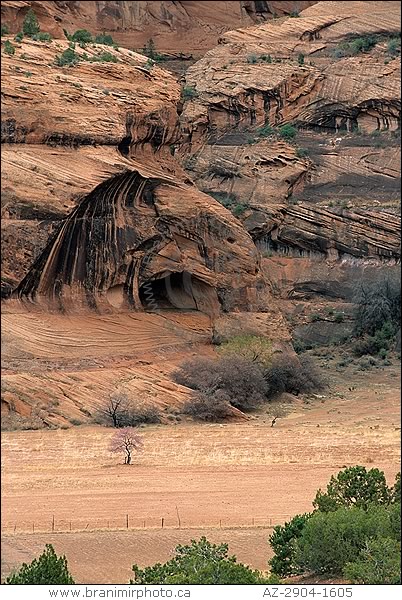 view of  Canyon de Chelly, Arizona