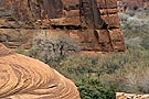 detail of canyon walls, Canyon de Chelly, Arizona