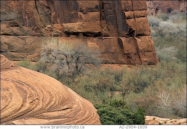 close-up of canyon walls, Canyon de Chelly, Arizona