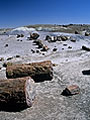 Petrified Forest National Park, Arizona