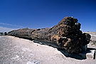 Petrified rock, Petrified Forest National Park, Arizona