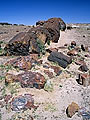 Petrified Forest National Park, Arizona