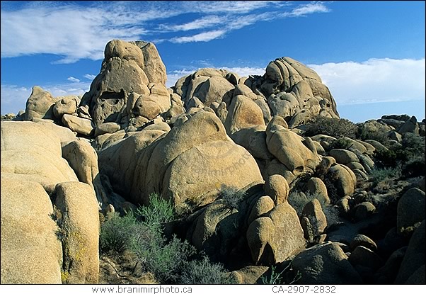 Jumbo Rocks, Joshua Tree National Park, California