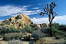 Joshua Tree National Park, California