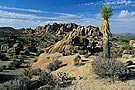 desert landscape, Joshua Tree National Park, California