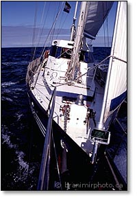 sailboat in afternoon light