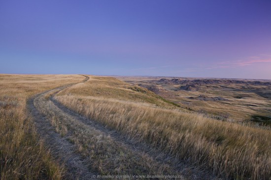 Winding trail through prairie at dawn, Grasslands National Park