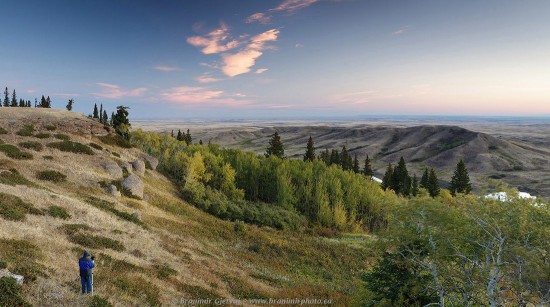 Conglomerate Cliffs in Cypress Hills at dawn