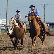 Maple Creek Ranch Rodeo