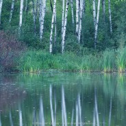 Outdoor and Nature Photography Workshop