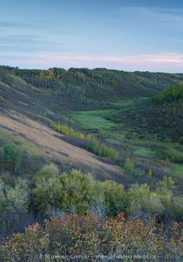 Forested ravine at Shekinah Retreat Centre in autumn. Waldheim, Saskatchewan