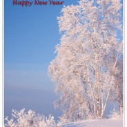 I wish you a happy and prosperous 2013