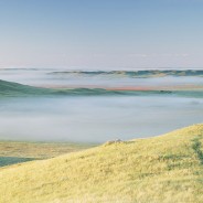 Grasslands National Park after the 2013 wildfire