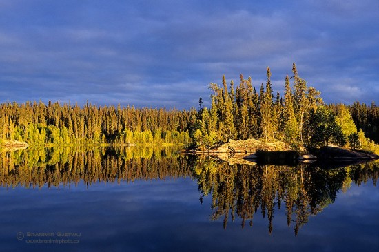 Evergreen trees reflecting in Hutchings Lake at sunset (Churchill River system), Saskatchewan